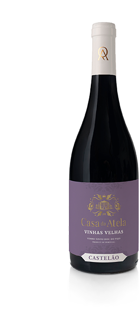 Casa da Atela Castelao sem fundo