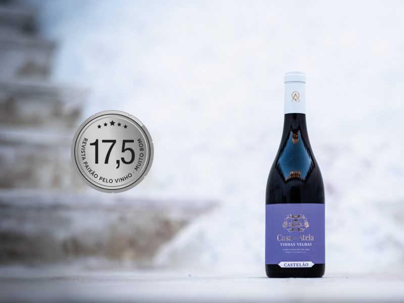 Castelao paixao pelo vinho capa