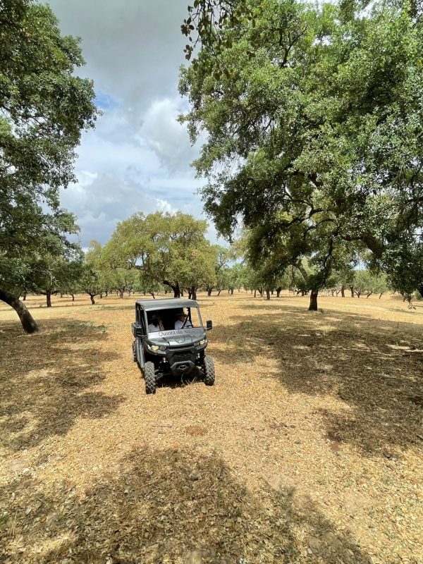 Experiencia aventura