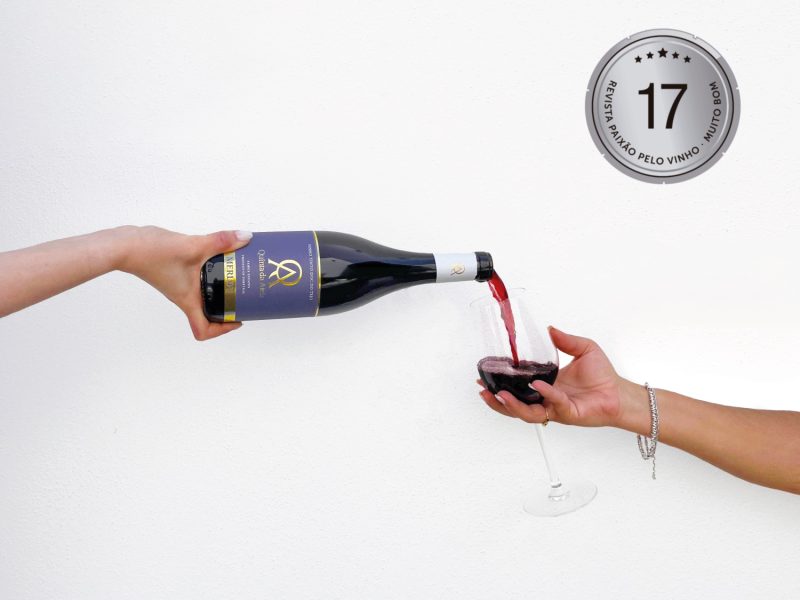 Merlot revista paixao vinho capa