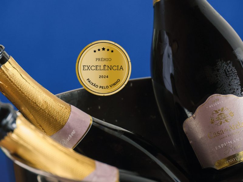 Pinot noir premio excelencia 2024 capa