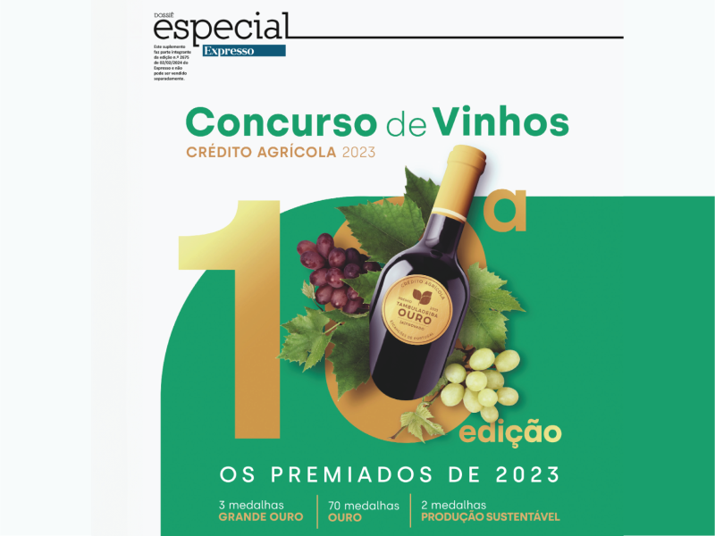 Vinho no feminino capa
